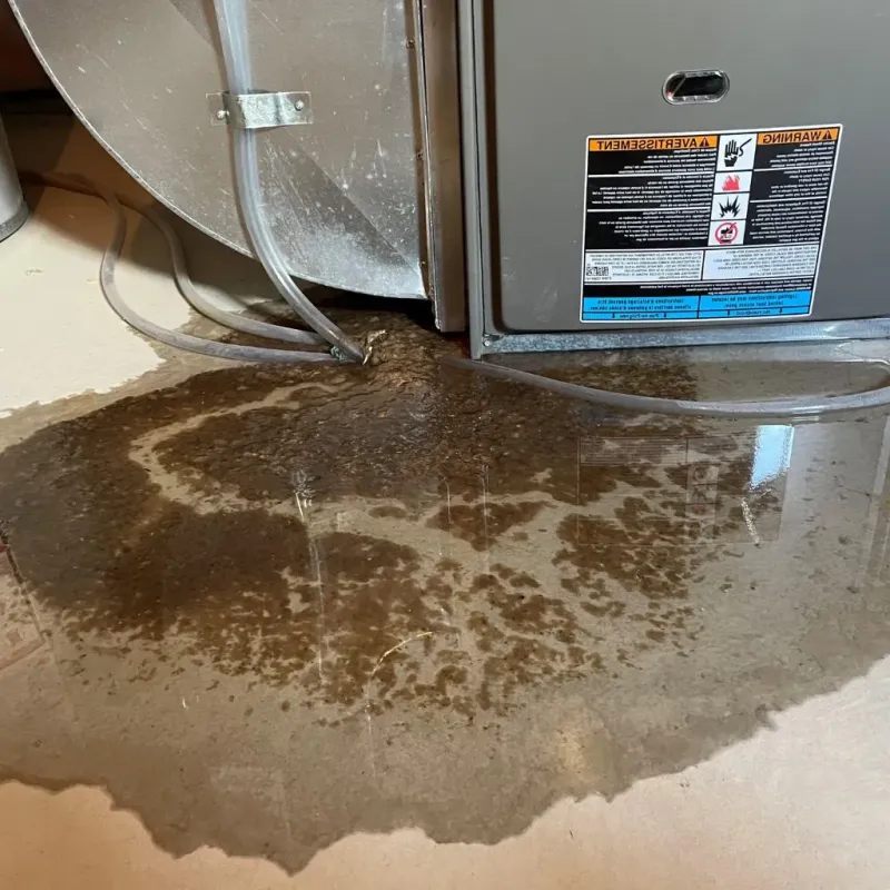 Pipe Burst and Leak Restoration in Vista Center, NJ
