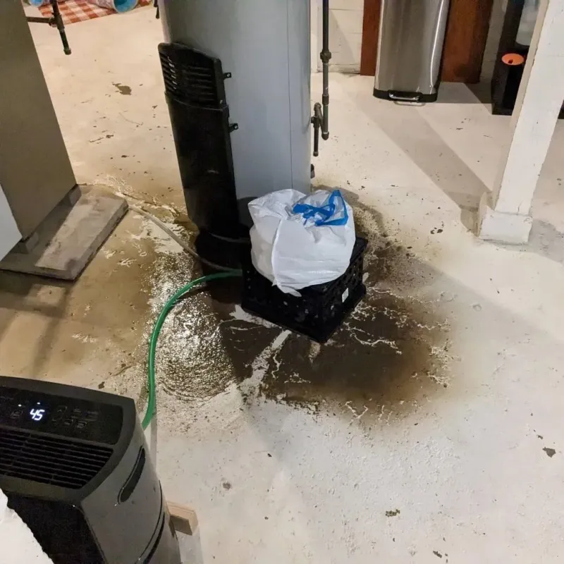 Sewage Backup Cleanup Service in Vista Center, NJ